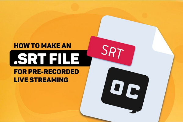 File SRT là gì? Đặc điểm của File SRT thế nào?