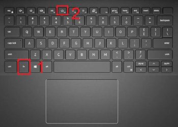 Cách bật đèn bàn phím laptop Dell đơn giản không phải ai cũng biết