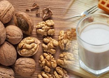 Hướng dẫn chi tiết cách làm sữa hạt bằng máy xay sinh tố