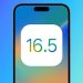 iOS 16.5 có gì mới khiến người dùng nên cập nhật?