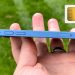 Hướng dẫn cách lắp và cách tháo SIM iPhone đúng chuẩn