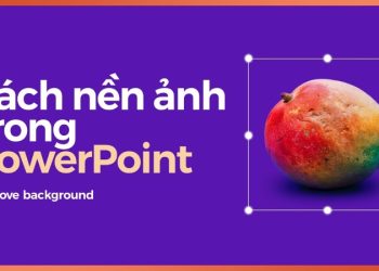 Hướng dẫn cách xóa nền ảnh trong PowerPoint chỉ trong tích tắc