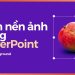 Hướng dẫn cách xóa nền ảnh trong PowerPoint chỉ trong tích tắc