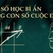 Thần số học là gì? Khám phá bản thân qua ý nghĩa từng con số
