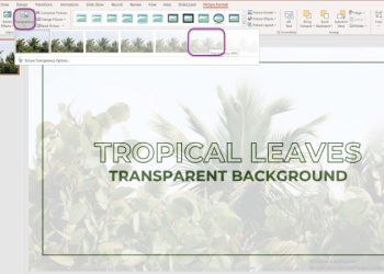 Cách làm trong suốt ảnh trong PowerPoint cực ấn tượng
