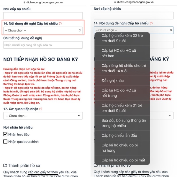 làm hộ chiếu gắn chip online