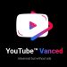 Nguyên nhân và cách khắc phục YouTube Vanced bị lỗi hiệu quả