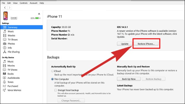 lỗi Panic Full iPhone