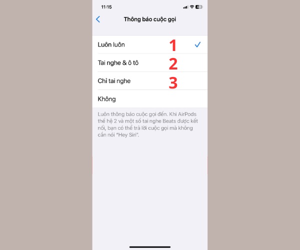 Có 3 tùy chọn để bật giọng nói khi có cuộc gọi đến
