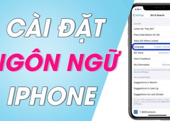 Cách cài đặt tiếng Việt cho iPhone đơn giản và dễ hiểu