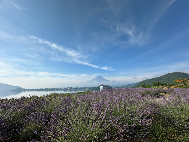 Chip A17 Pro giúp nâng cao khả năng xử lý hình ảnh