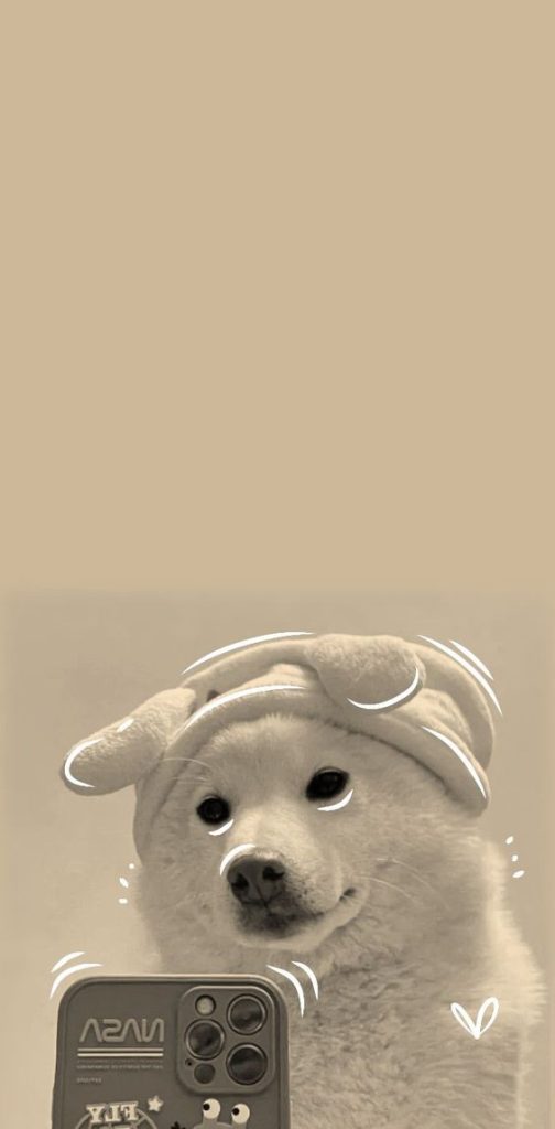 Hình ảnh chú chó trắng chụp Selfie đáng yêu