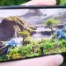 Khám phá những lý do nên mua Xiaomi 13T thời điểm hiện tại