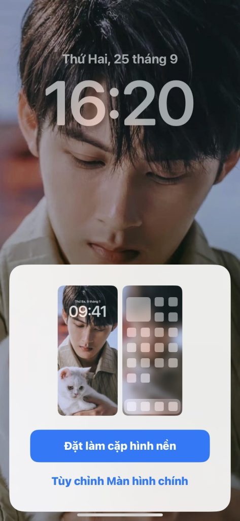 Thiết lập cặp màn hình hoặc chọn một hình ảnh khác làm hình nền chính