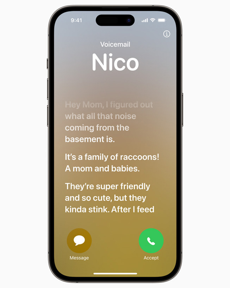 Giao diện hiển thị khi bật tính năng Live Voicemail (Thư thoại trực tiếp)