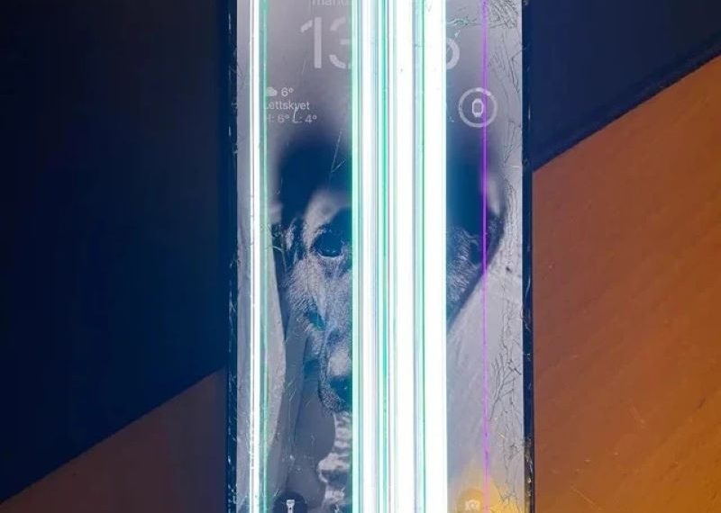 Chiếc iPhone 15 Pro Max bị xe RV cán qua nhưng vẫn hoạt động
