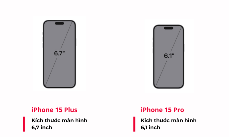 Màn hình iPhone 15 Plus lớn hơn iPhone 15 Pro 