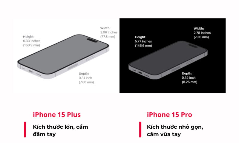 iPhone 15 Plus có kích thước lớn hơn 15 Pro 