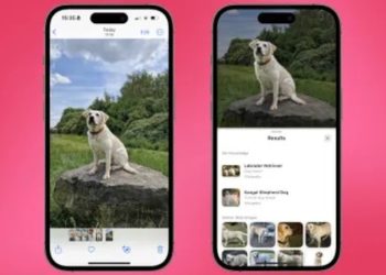 Tính năng Tra cứu trực quan (Visual Look Up) trên iOS 17