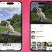 Tính năng Tra cứu trực quan (Visual Look Up) trên iOS 17