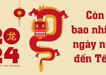 Bao nhiêu ngày nữa đến Tết? Tết Nguyên Đán của Việt Nam có gì đặc biệt?