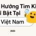 Xu hướng tìm kiếm nổi bật 2023 có gì đặc biệt