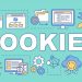 Hướng dẫn cách bật cookie trên iPhone khi truy cập website