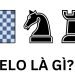 Elo là gì? Tìm hiểu chi tiết về chỉ số Elo trong Liên Minh Huyền Thoại