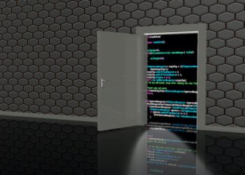 Backdoor to access the code