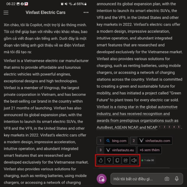 Câu trả lời của Copilot.