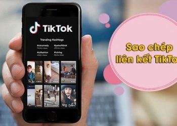 Hướng dẫn người dùng cách sao chép liên kết TikTok đơn giản và nhanh chóng