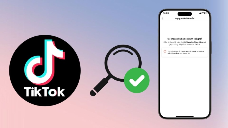 Cách kiểm tra vi phạm trên TikTok