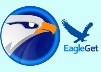 eagleget là gì