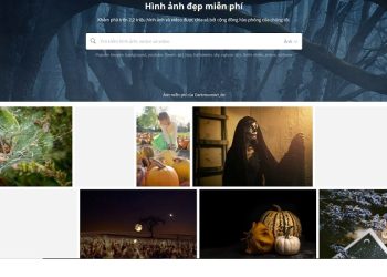 Tổng hợp các website tải hình nền đẹp, an toàn, miễn phí