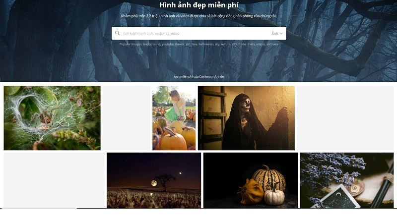 Tổng hợp các website tải hình nền đẹp, an toàn, miễn phí