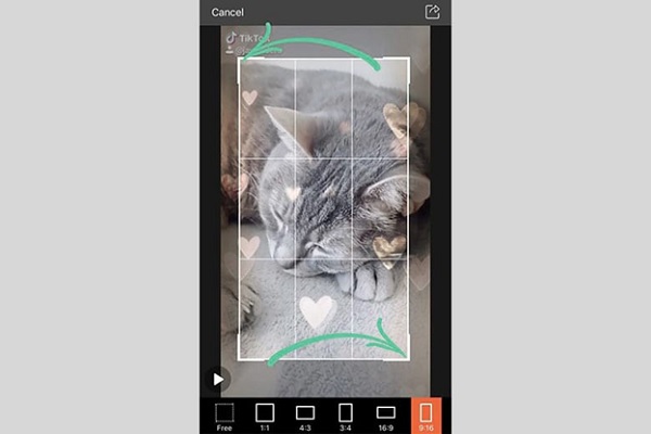 A screenshot of a cell phone

Description automatically generated