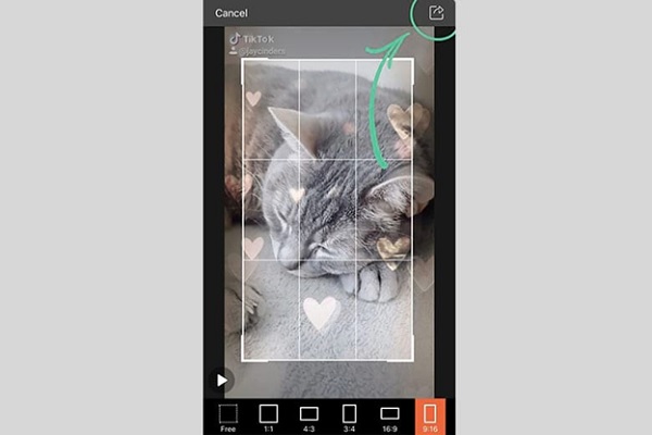 A screenshot of a cell phone

Description automatically generated