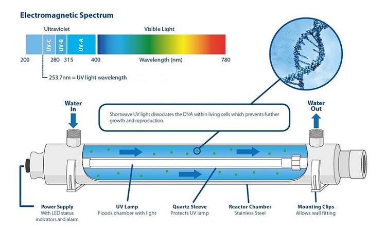 Dòng nước tiếp xúc với tia UV-C khi đi qua buồng xử lý
