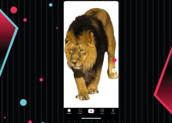 1 con sư tử trên tiktok bao nhiêu tiền