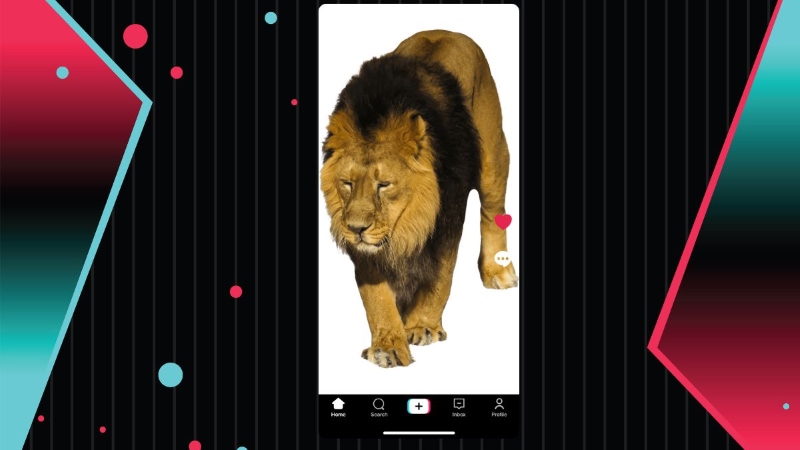 1 con sư tử trên tiktok bao nhiêu tiền