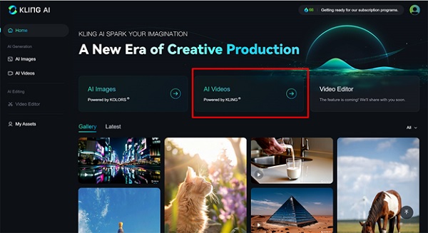 A screenshot of a computer

Description automatically generated
