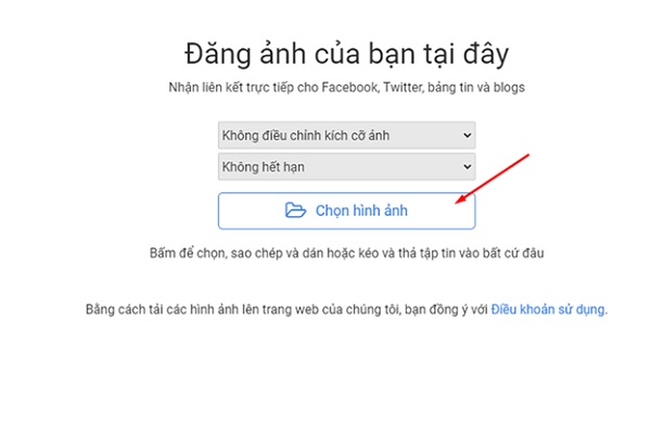 A screenshot of a computer

Description automatically generated