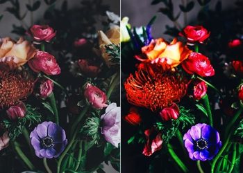Công nghệ ColorPrime Pro trên tivi: Đắm chìm vào thế giới giải trí sống động