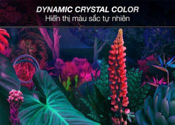 Dynamic Crystal Color