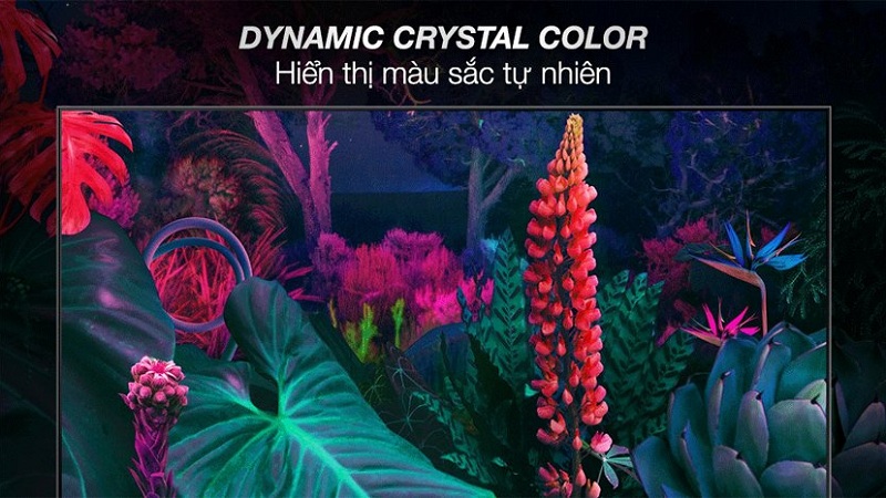 Dynamic Crystal Color