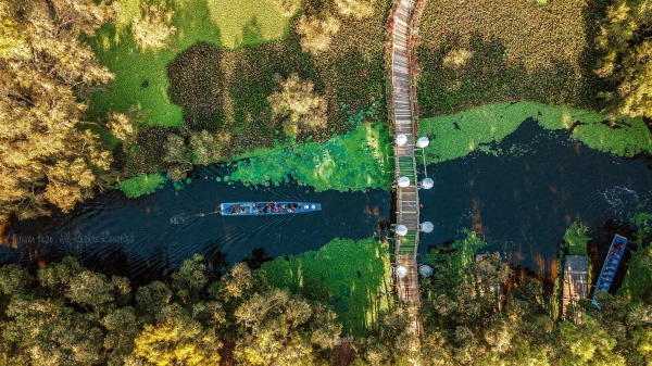 Rừng tràm Trà Sư