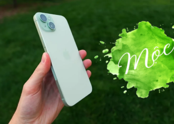Mệnh Mộc hợp màu gì