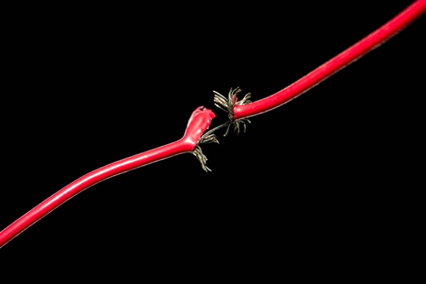 A red cable with a broken end
Description automatically generated with medium confidence
