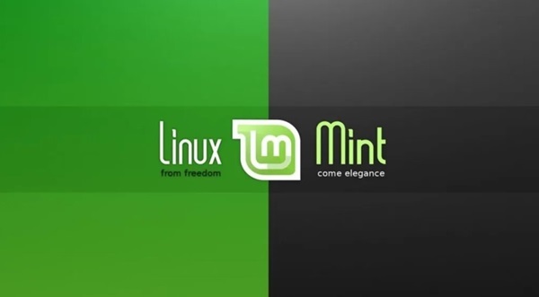 A black and green logo
Description automatically generated