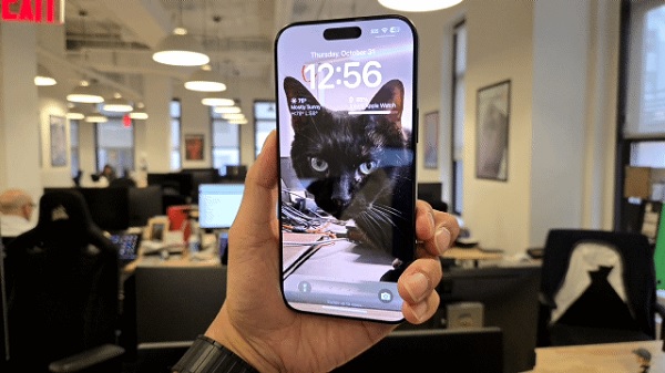 A hand holding a cell phone

Description automatically generated